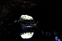 Kanary_2010 253